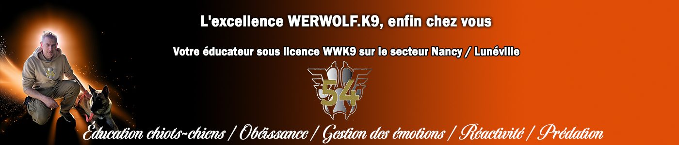 WWK9-54
