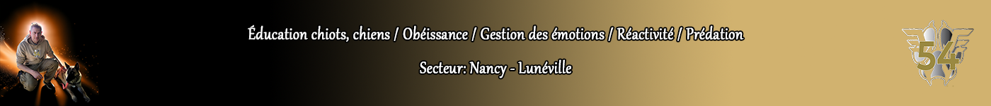 Éducateur Canin Nancy & Lunéville