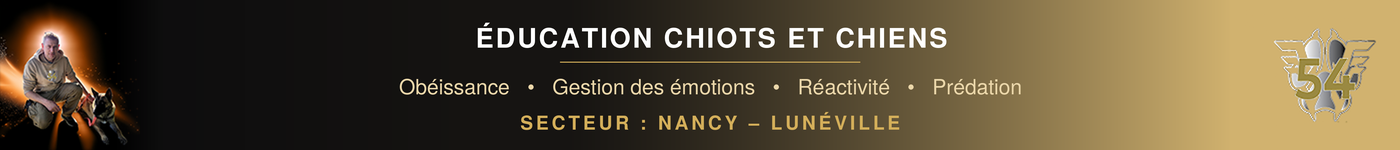 Éducateur Canin Nancy & Lunéville